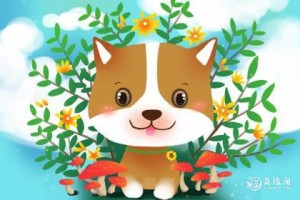 属狗的父母生什么属相的宝宝好一点
