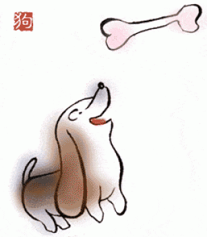 十二生肖代表驼背的是什么