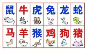 十二生肖最不适合的婚配