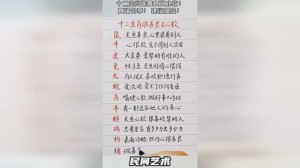 十二生肖善心排行榜