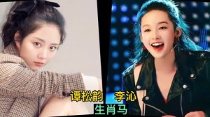 十二生肖明星人物代表