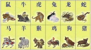 十二生肖最末位是什么