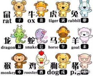 问十二生肖属什么生肖呢