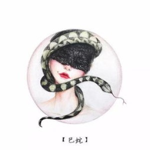 十二生肖美人肖是哪几个