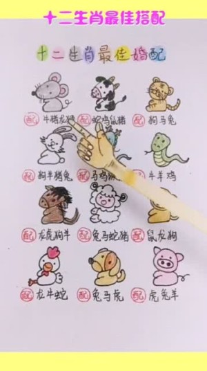 十二生肖男女配对