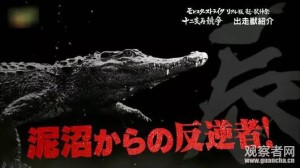 鳄鱼表示什么生肖