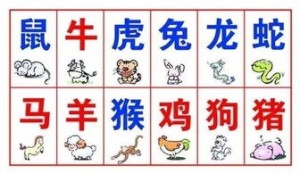 很强劲的十二生肖有哪些