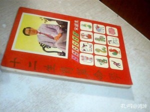 12生肖算命书小册子