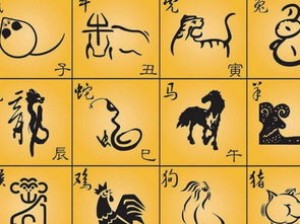 生肖与子女相冲怎么办