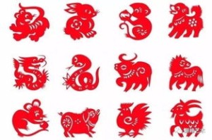 欺是指什么生肖