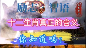 领地指什么生肖