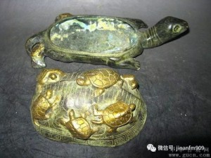 十二生肖与乌龟的关系