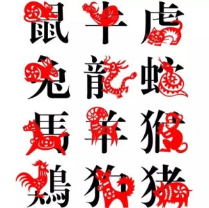 苦心经营打一动物