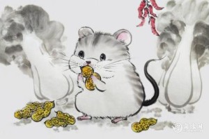 12生肖的大小肖是怎么分的