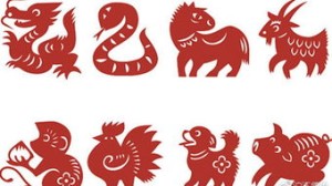 阴天的生肖