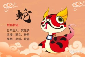 属蛇的人守护神兽