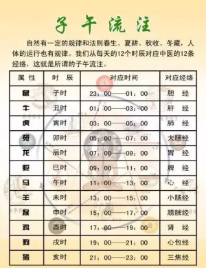 十二生肖与时辰对照表解释