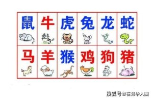 十二生肖怎么搭配最好