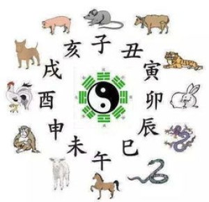 十二生肖与脏腑的对应