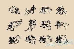 十二生肖字根大全