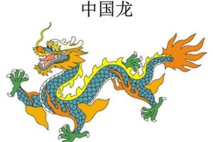 十二生肖中龙虎的生肖