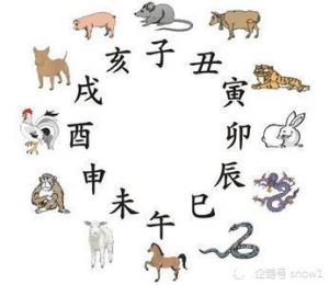 十二生肖谁忠诚什么动物