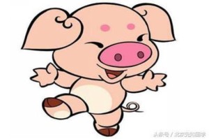 属猪跟十二生肖的配对表