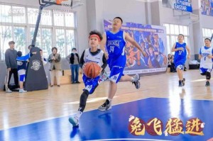 十二生肖篮球是代表什么