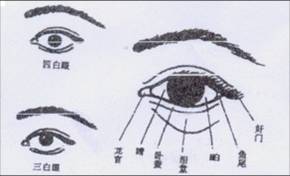 第二官,监察官(眼)